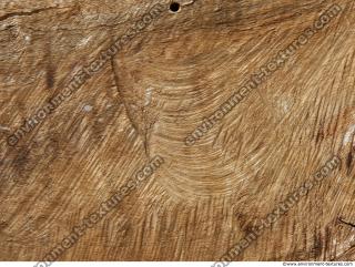 Wood Bare 0002